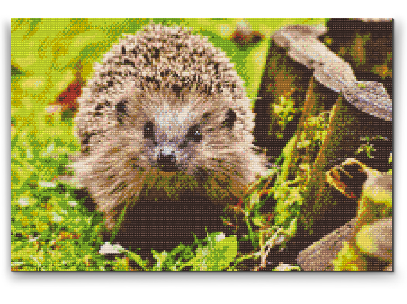 Diamantové malování - Hedgehog Night Creature